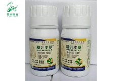 基训本草中药组合肥